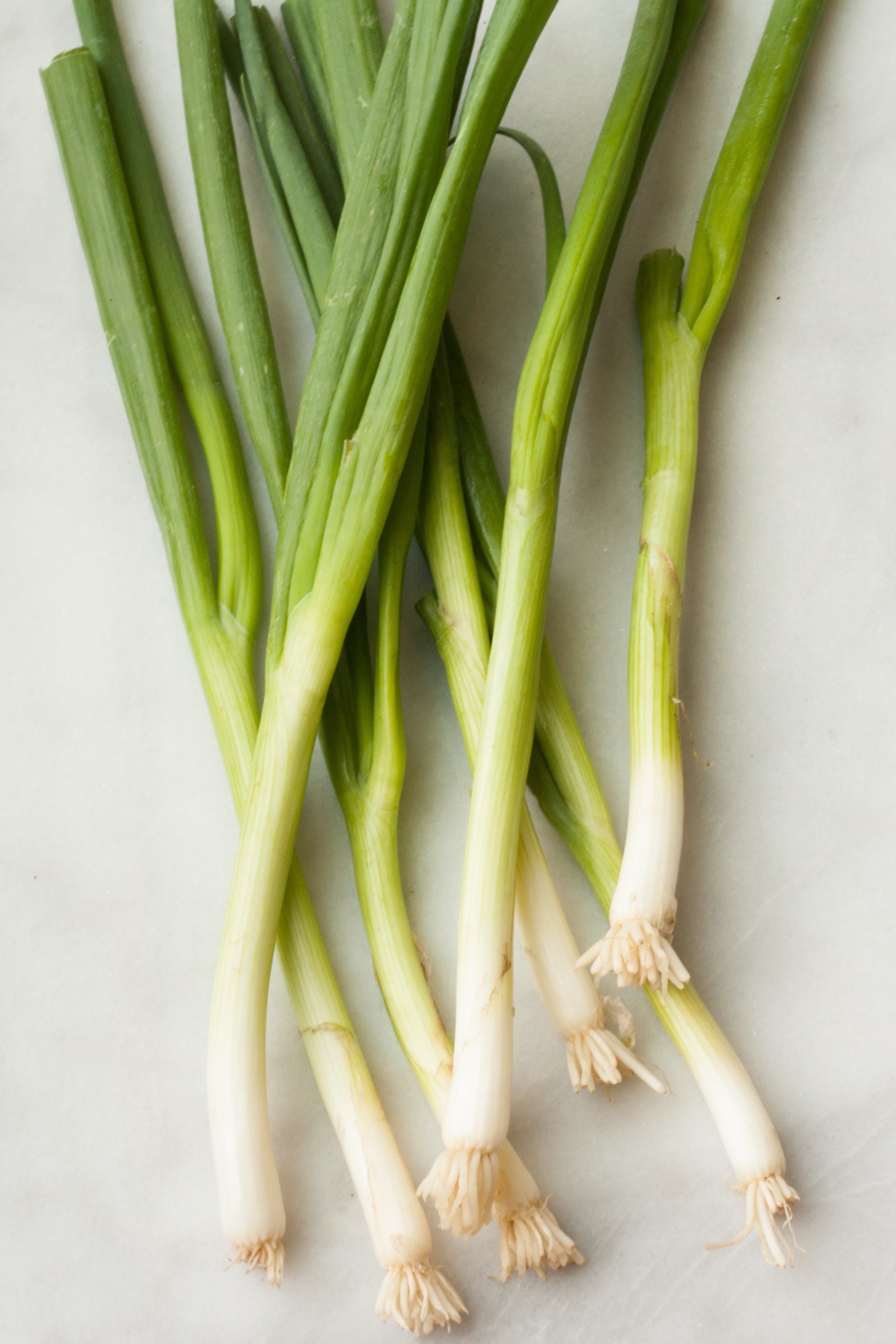 Shallots Vs Scallions Vs Green Onions Shallots Scallion Food