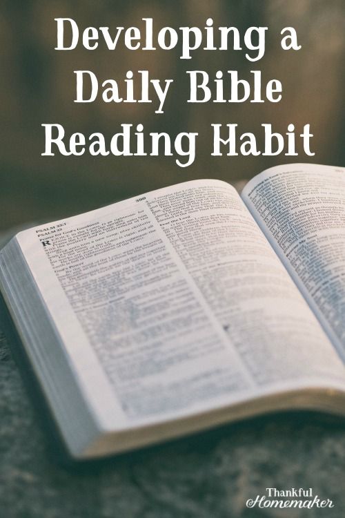 daily bible study books daily bible study books