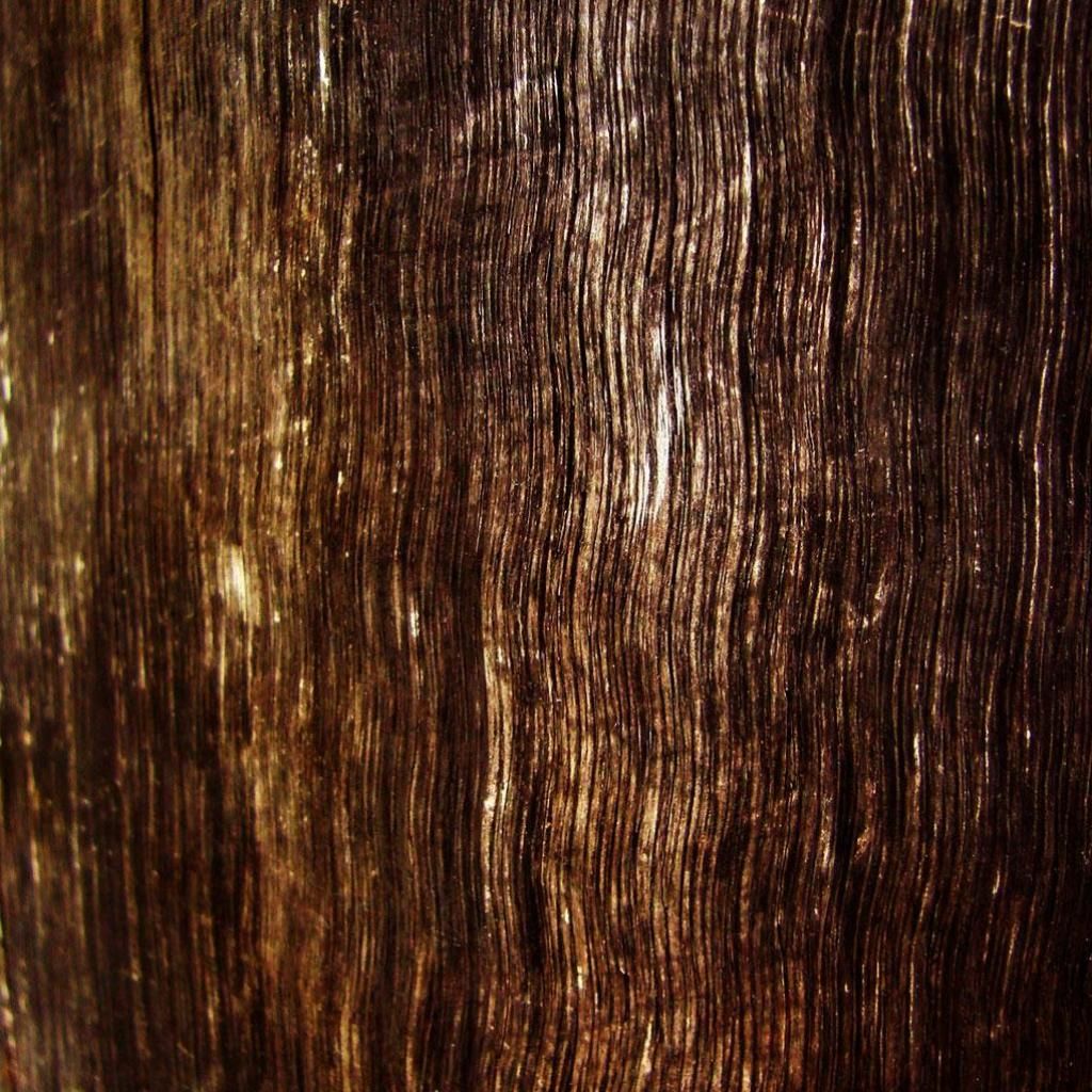 Dark Brown Wood Dark Brown Wood
