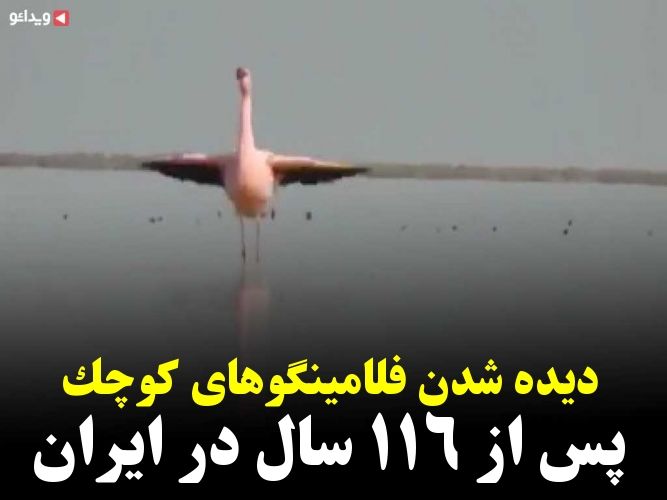 آهنگ سادس از امیر عباس گلاب ویدائو In 2020