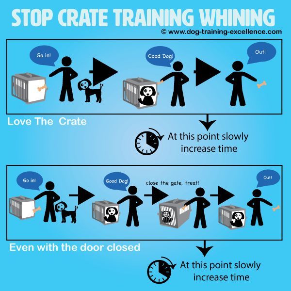 Dog Training Tips Click Pic For Lots Of Dog Care And Training