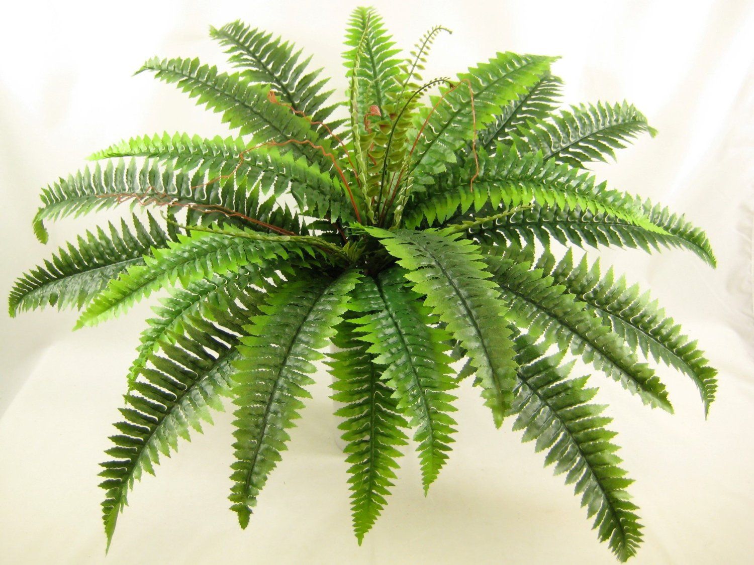 74cm Artificial Silk Foliage Large Boston Fern From Gt Decorations 74cm Artificial Silk Foliage Large Boston Fern From Gt Decorations Co Uk