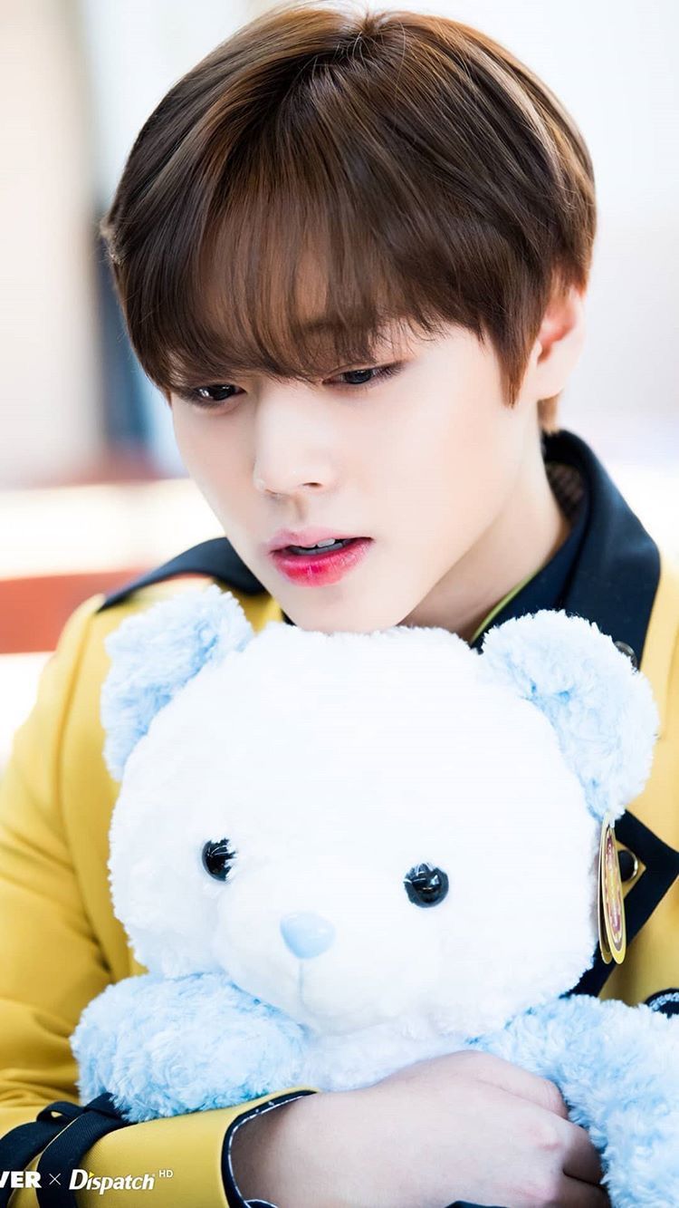 Park Ji Hoon Wannaone Parkjihoon Wanna One 워너원 Park Kpop