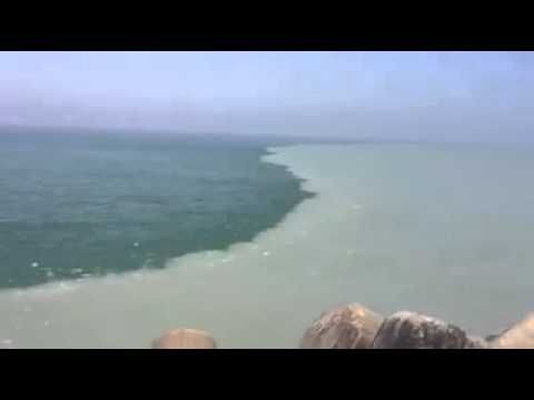 مرج البحر يلتقيان التقاء الماء العذب بالمالح س Around The Worlds Outdoor Water