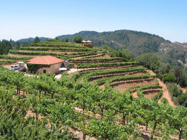 pin by cat lee on trip to napa best wineries in napa napa valley wineries napa valley vacation