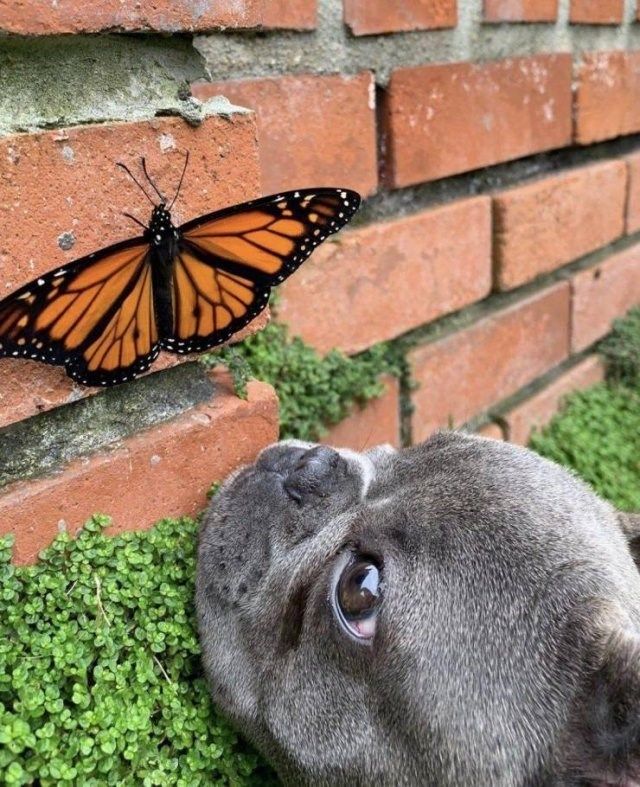 Photos That Say More Than Just a Thousand Words