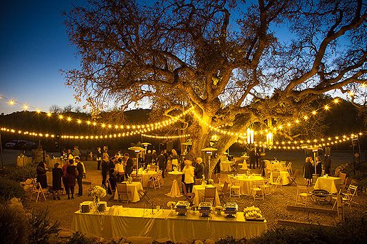 C Winery 43 Wedding Vineyard Weddings C Winery 43 Wedding Vineyard Weddings R Johnson Photography Paso Robles Wineries