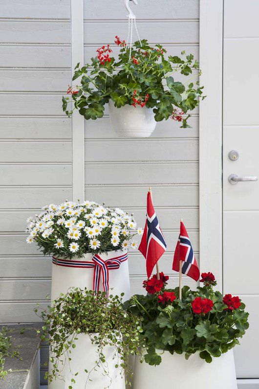 17. mai nærmer seg med stormskritt. Da er det mange som ønsker å plante og pynte ferdig uteplassen. Vi gir deg tips til hvordan du kan pynte med blomster ute til den store nasjonaldagen. 17. Mai, Constitution Day, Holiday Feast, Christmas Table Settings, Happy B Day, White Candles, Green Life, Flower Petals, Holidays And Events