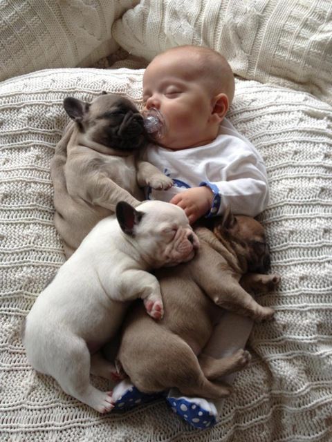 Stop It Cute Animals Baby Animals Pets