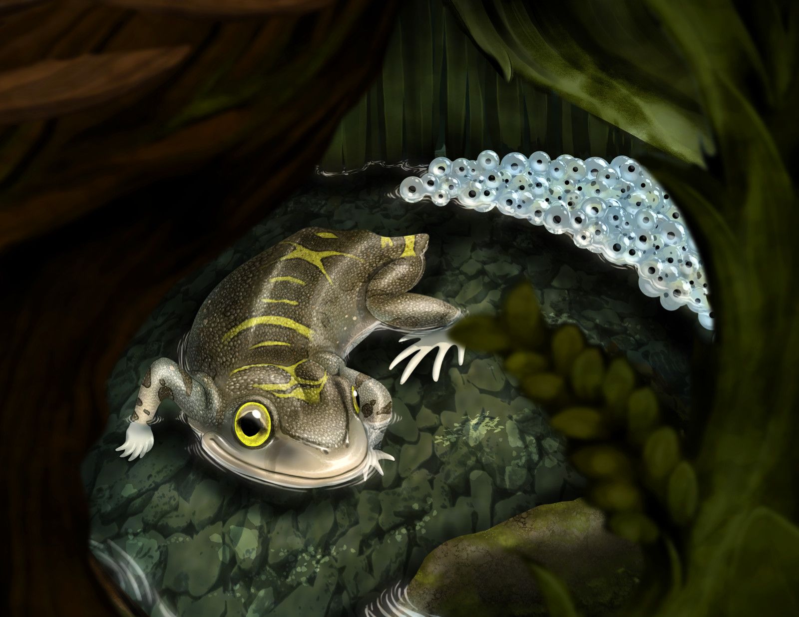 Resultado de imagem para triadobatrachus