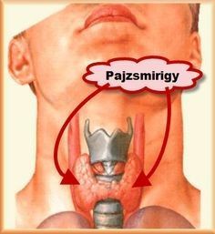 Az alábbi gyakorlat titka, hogy hatékonyan, gyógyszerek nélkül megoldja a pajzsmirigy problémákat. Használatával a vér áramlása megemelkedik a mirigyek felé, aminek köszönhetően a pajzsmirigy meggyógyul. Health Plan, Health Tips, Health And Wellness, Health Fitness, Herbal Remedies, Natural Remedies, Dental Health Care, Avocado Health Benefits, Health Words
