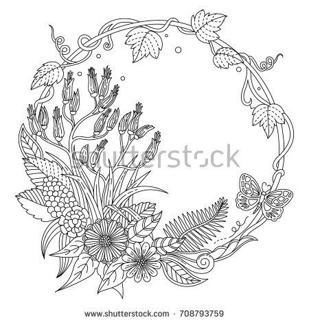 Download Adult Color New Zealand Frame | Flori