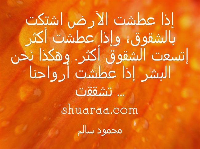 Pin By Bntelhijaz On خواطر شعراء Sayings