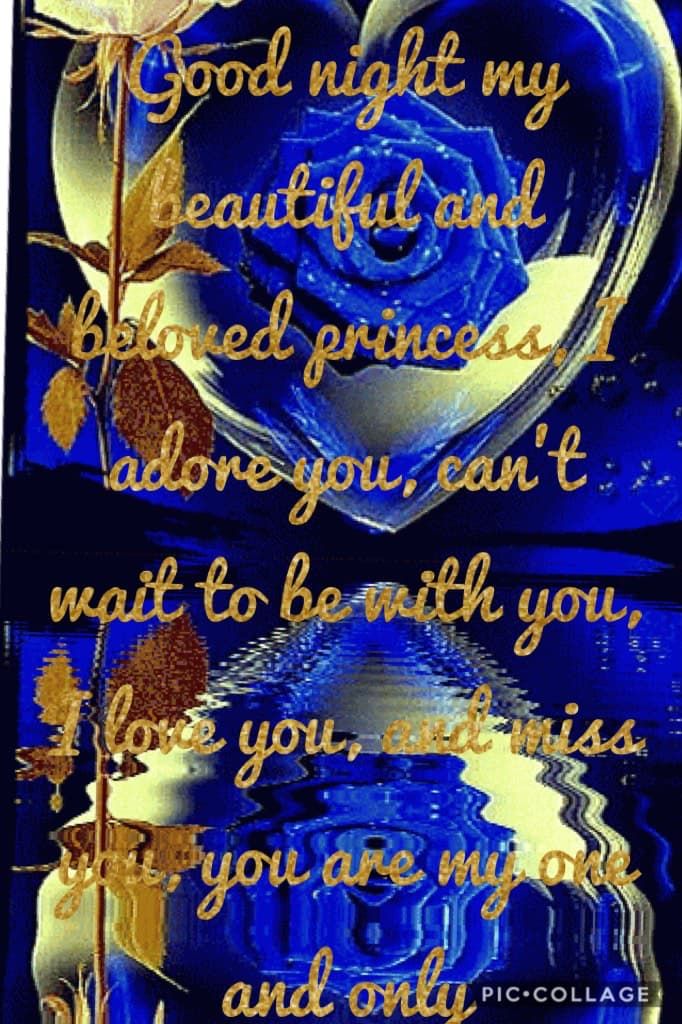 Good night my beautiful and beloved princess, I adore you, can't wait