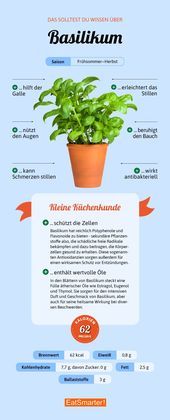Basilikum Das solltest du über Basilikum wissen | eatsmarter.de #basilikum #kr...