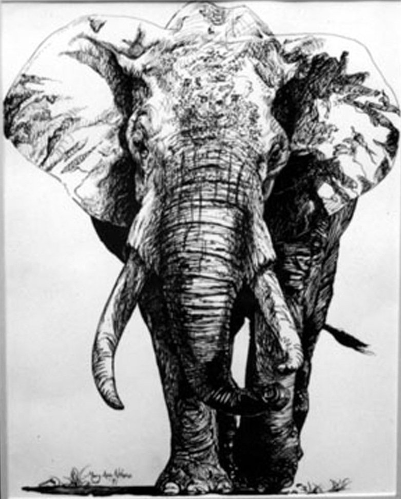 elephant original pen and ink on heavy paper etsy store