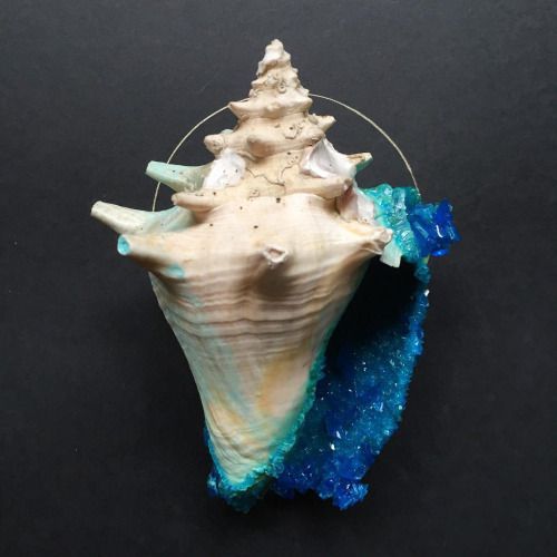tylerthrasherart Thrasher art, Crystal art, Borax tylerthrasherart Thrasher art, Crystal art, Borax