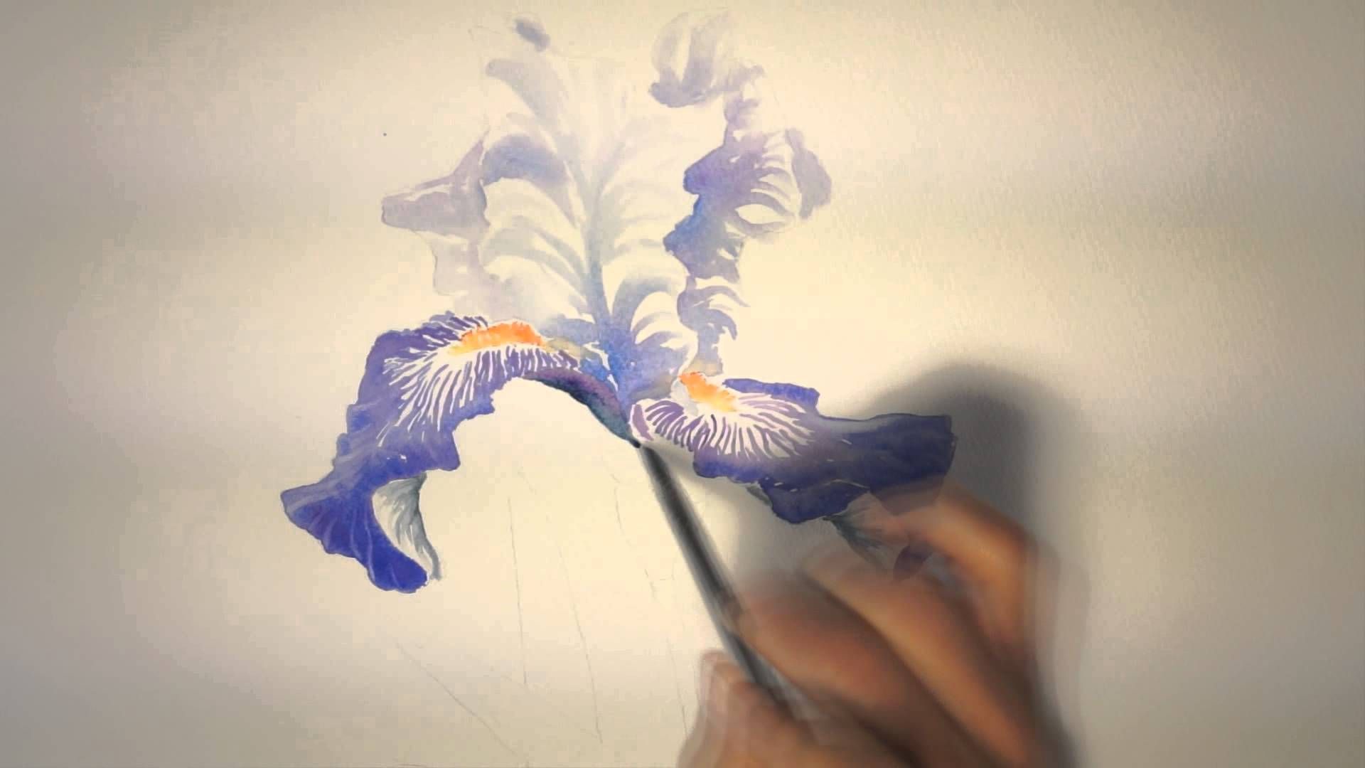 Purple Iris Watercolor Giclee Print Fine Art Home Decor 12x24