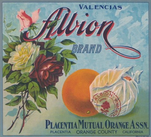Los Angeles Wildflower Daisy Flower Lemon Citrus Fruit Crate Label Art Print