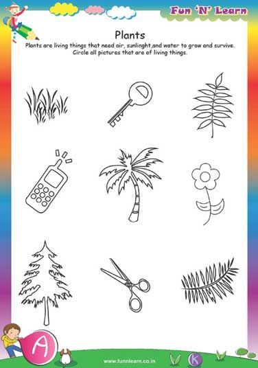 lkg worksheets activities lkg worksheets activities