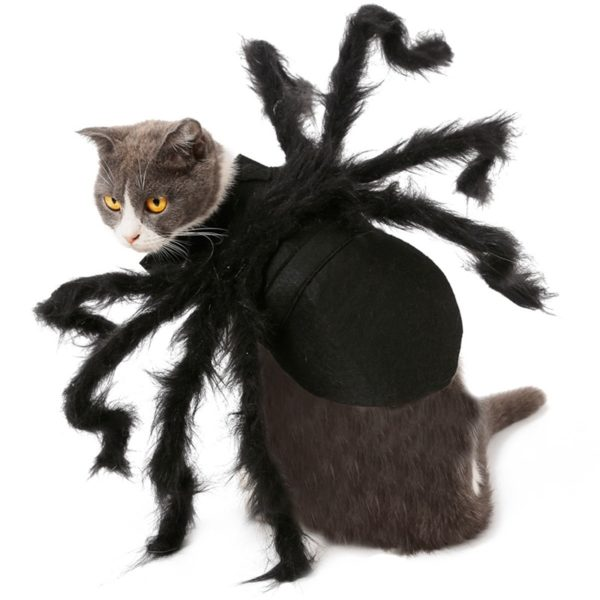 Pet Dogs Cats Cosplay Spider Clothes Pet Halloween Costume For Dog Cat Spider Bat Festival Party Role Play Dressing Up Clothes (Black S)