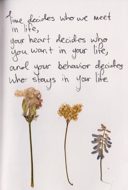 From My Rotting Body Flowers Shall Grow Flower Quotes Quotes Quote time-decides-who-you-meet-in-your-life-your-heart-decides-who-you-want