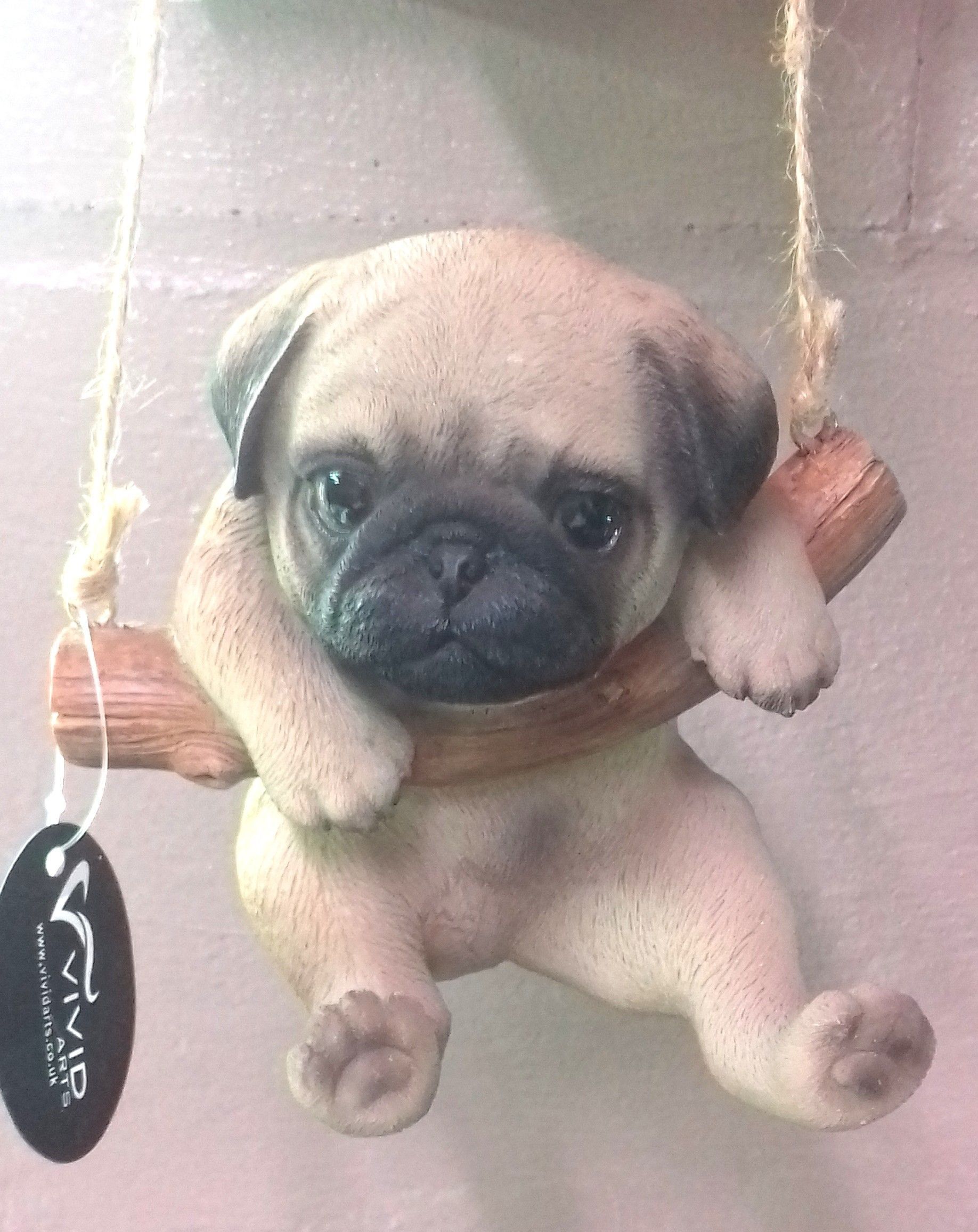 Rocking Pug Pug Baby Pugs Cute Baby Animals Cute Animals
