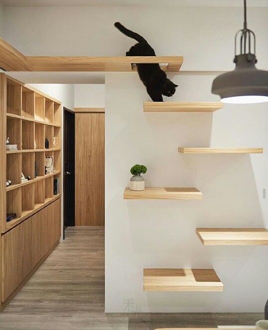 Fantastic Free Bathroom Furniture shelves Concepts Washrooms will be an essential part of every family but despite the presence of its indisputab value #Bathroom #Concepts #Fantastic #Free #Furniture #shelves Cat Wall Shelves, Shelves For Cats, Cat Climbing Shelves, Cat Climbing Wall, Cat Wall Furniture, Furniture Ideas, Design Furniture, Office Furniture, Cat House Diy