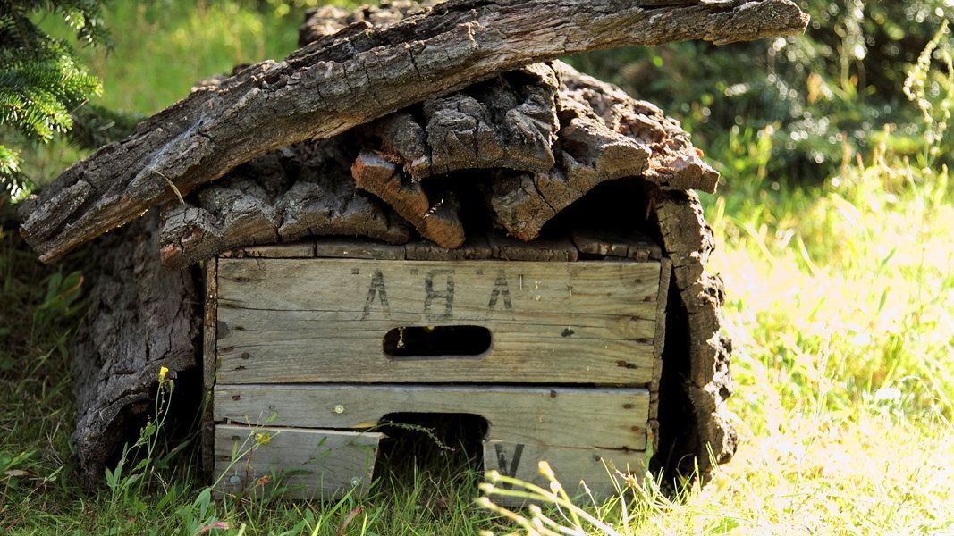 Small Garden Ideas Diy, Small City Garden, Back Gardens, Small Gardens, Garden Room, Diy Garden, Hedgehog House, Front Garden Design, Garden Animals