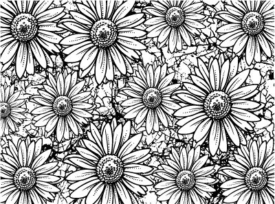 Download Wildflowers in a Bucket • H-691 | Daisy background, Flower coloring pages, Spring coloring pages