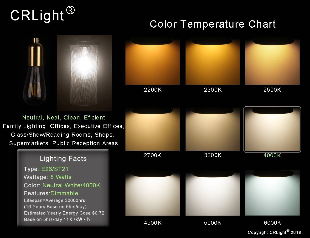 CRLight 8W Dimmable Edison Style Vintage LED Filament Light Bulb 4000K | Family Man Librarian