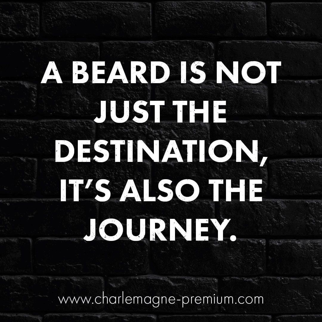 www.charlemagne-premium.com View the best mens hairstyles from Charlemagne Premium male grooming and beard styling. We love the sexy looks using pomades, clay, matte paste and the coolest messy looks. shave tattoo shaving beard styles mens hair styling undercut hairstyles undercuts for men bike biker surfer look inspiration rock n roll Men's Hair, Haircuts, Fade Haircuts, short, medium, long, buzzed, side part, long top, short sides, hair style, hairstyle, haircut, hair color, slick.. #mittellangeröcke