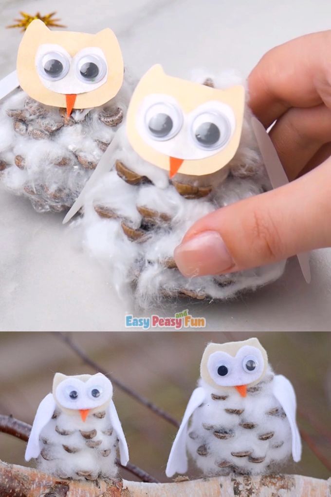 Pinecone Winter Owls Craft