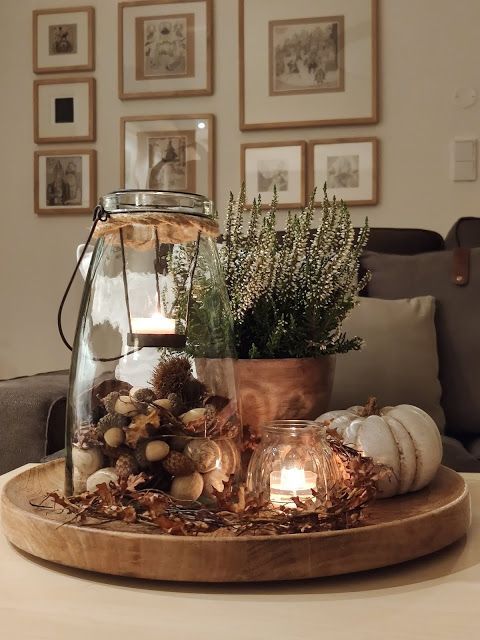 тыквы, вереск и другое тыквы, вереск и другое