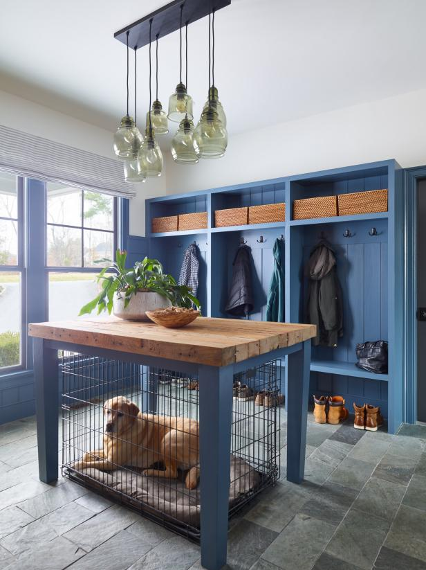 Dogs + Home Design: 50 Adorable Photos | HGTV | Laundry room paint, New ...