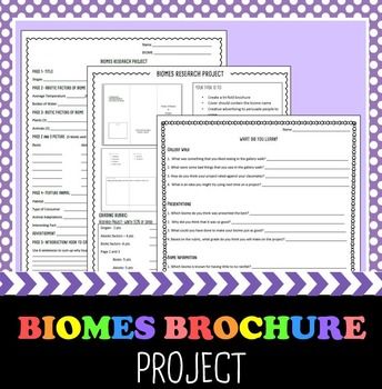 biomes brochure project biomes brochures and students