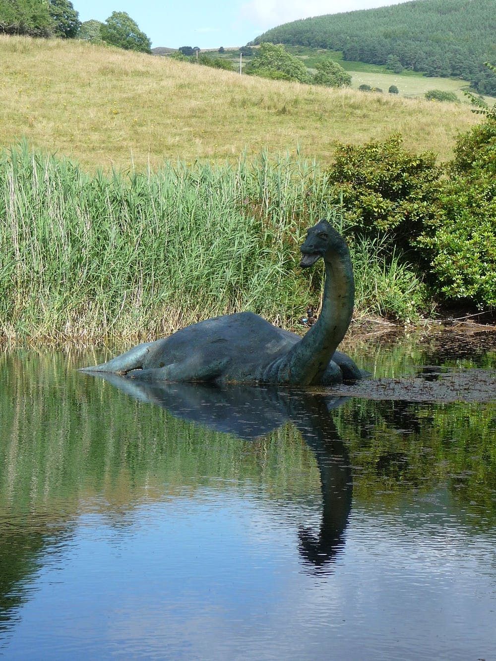 Friday Essay Monsters In My Closet How A Geographer Began Mining Myths Loch Ness Monster Strange Beasts Sea Monsters