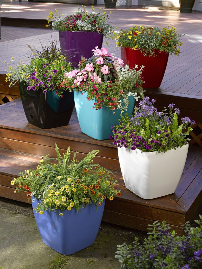 colorful rolling patio planter self watering planter patio planters planters bloem rail planter on colorful rolling patio planter self watering planter patio planters planters pinterest