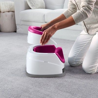Pink Flambe Ingenuity Baby Base 2-In-1 Seat