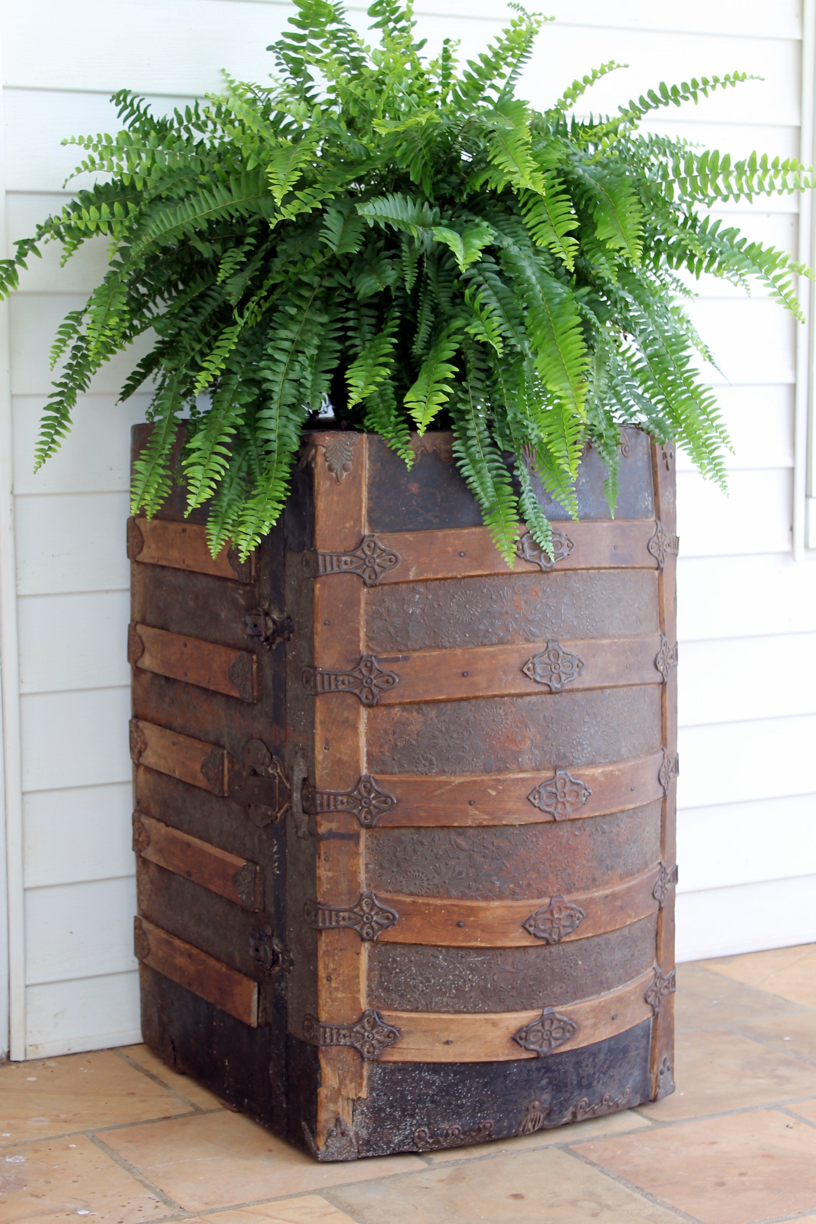 Antique Trunk For Plant Stand Antique Trunk For Plant Stand