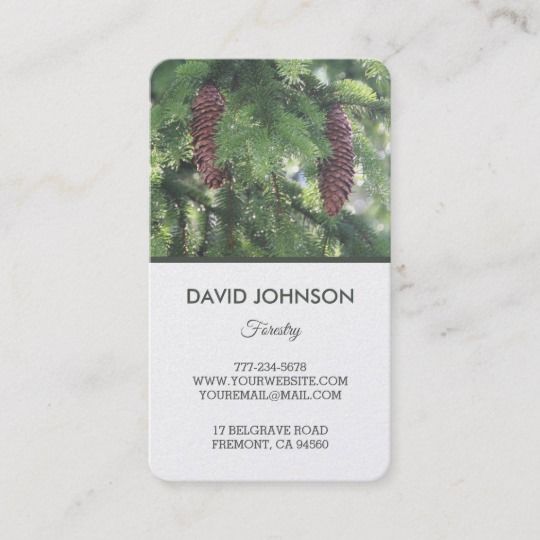 id 256370444994147416 spruce tree business cards arborist forestry business cards