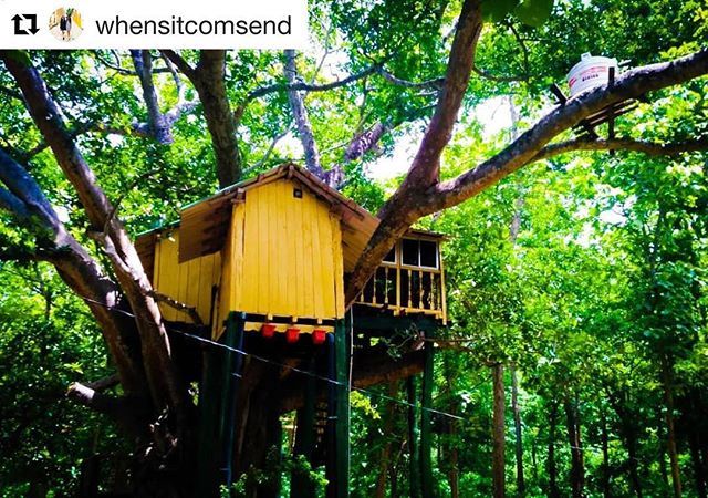 How about staying in a #treehouse #odisha #tourism #bhubaneswarbuzz pic courtesy @whensitcomsend Bhanjanagar Odisha #treehouse #bhanjanagar #odisha #odishatourism #culturetrip #nature #kaliaamba #beautifuldestinations #naturelovers #followmeto #india #incredibleindia #iwashere #serenity #odia #instaindia #indiapictures #indiaclicks . Tag us in your photo to get featured Treehouse, Incredible India, Courtesy, Stays, Serenity, Tourism, Tree Trunk, Culture, Trip