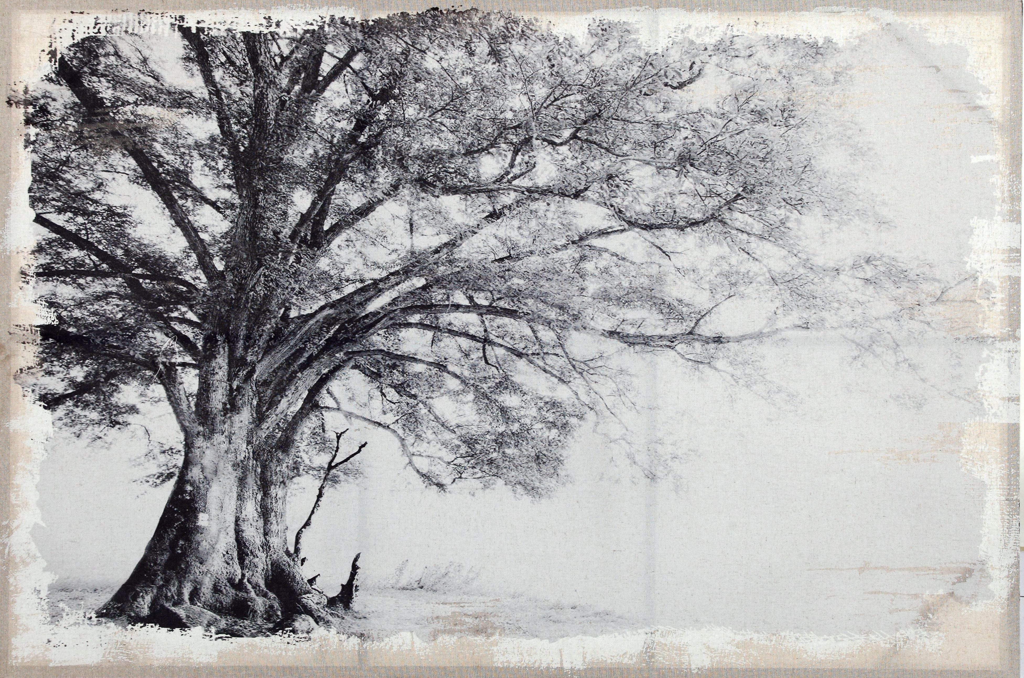 Absolutely beautiful black and white art for sale at wtpstyle blackandwhite artwork gallary