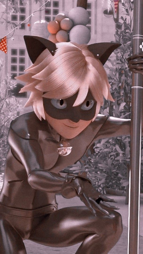 Cat Noir Miraculous Ladybug Movie Miraculous Ladybug Oc Miraculous Characters
