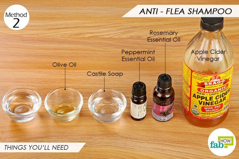 olive oil for cats fur