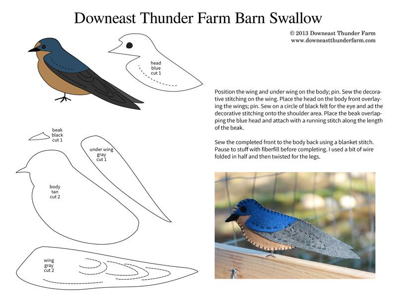 Spiffy Barn Swallow