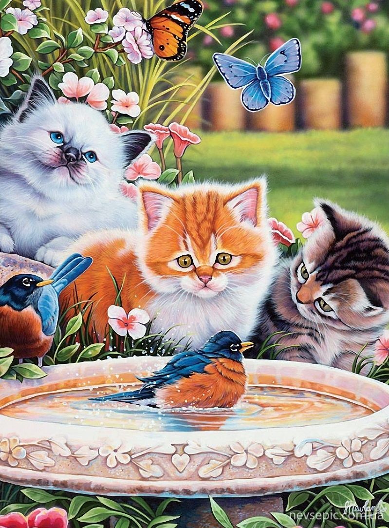 Открытки кошек и котят, винтаж марта