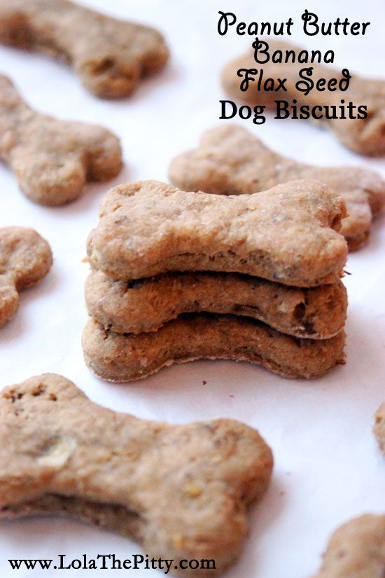 small batch dog treats