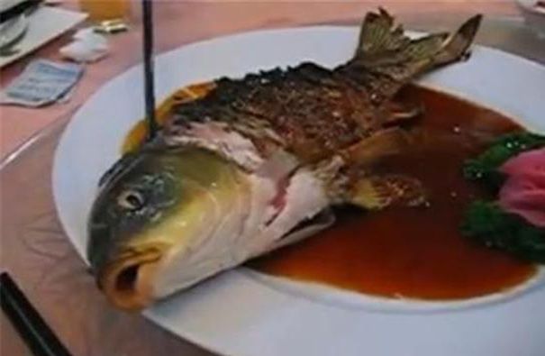 Strangest Foods Around The World Weird Food Bizarre Foods Food