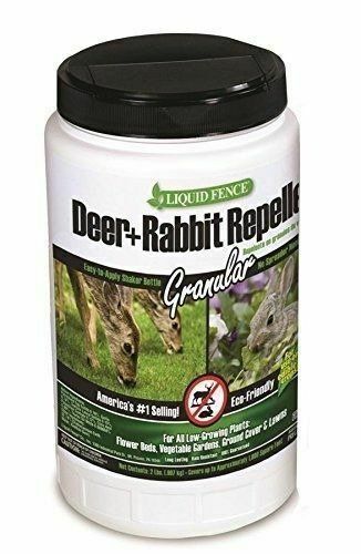 Check out what I'm selling on Mercari! Deer and Rabbit ...